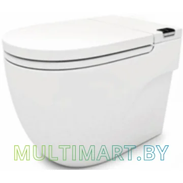 Унитаз Roca In-Tank N-Merdian 893303000